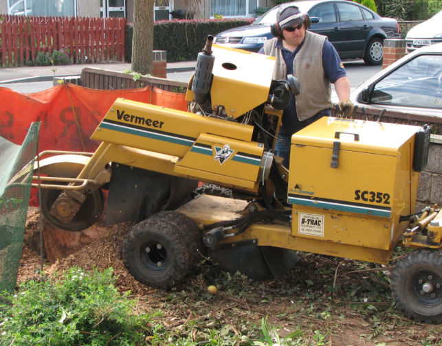 this is an image of stump grinding in mission viejo