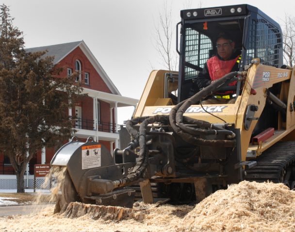 this is an image of stump removal in mission viejo